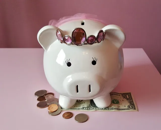 piggy bank, pig, piggy, pink, savings, save, money, coins, cash, dollar, bank, banking, pocket money, finance, financial, wealth, invest, investing, investment, tax, financial planning, economics, economy, usd, tiara, piggy bank, piggy bank, piggy bank, piggy bank, piggy bank, pocket money, tax, tax, financial planning, financial planning, financial planning. Budgettering af renoveringsprojekter: poster og reserver